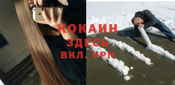 индика Сосновый Бор