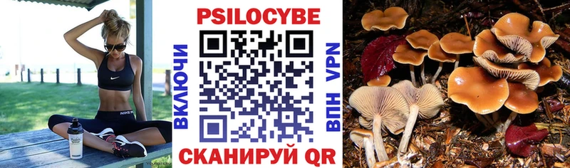 цены   Осинники  Галлюциногенные грибы ЛСД 