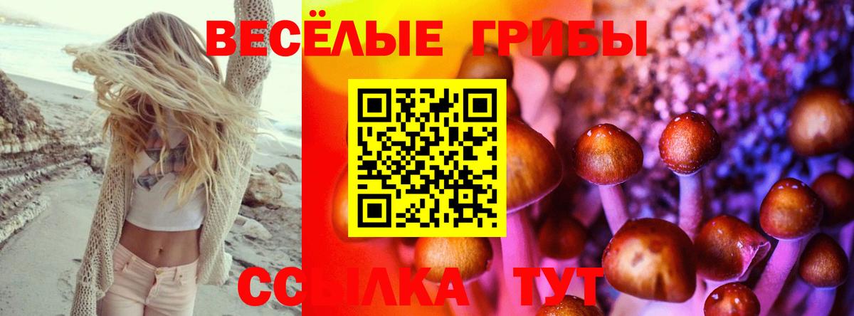 Осинники  Галлюциногенные грибы Psilocybine cubensis  Вход с VPN  Галлюциногенные грибы Cubensis 